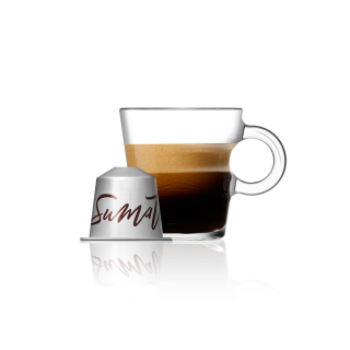 Aged Sumatra