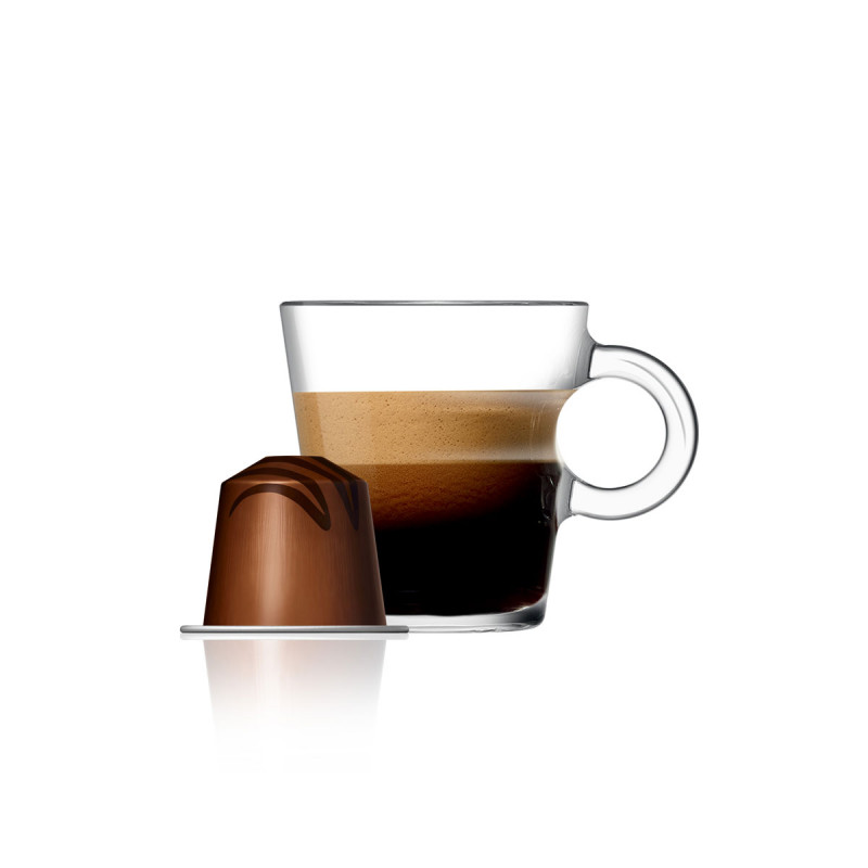 Cocoa Truffle