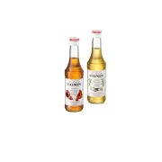 Monin syrup kit - vanilla & caramel