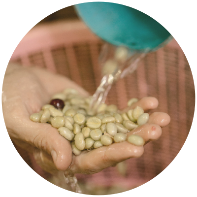 bezkofeinska kafa